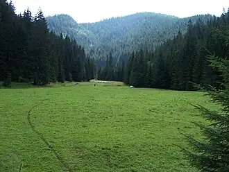 Blick von der Alm Polana Huciska