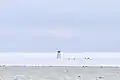 Aufgegebene russische Polarstation Isluchina (Nordostküste der Komsomolez-Insel; 81&nbsp;°N, 96°&nbsp;33′&nbsp;O)