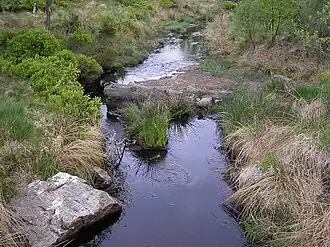 Polleurbach