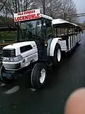 Polo Express