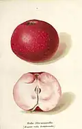 Pom.Mon.Hefte 1868