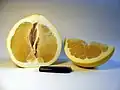 Pomelo