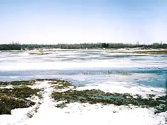 Pimachiowin Aki