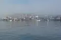 Hafen am Puget Sound