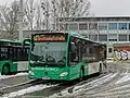 Das typische Stadtbus-Design in Graz