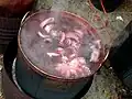 Das Kochen