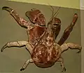 Palmendieb
