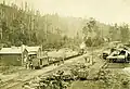 Powelltown Tramway