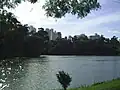Parkblick auf den Bairro Aclimação