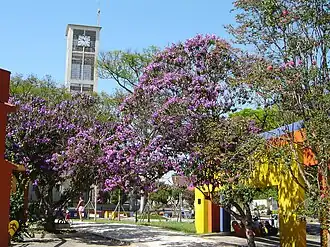 Die Praça da Bandeira im Stadtzentrum