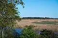 Der Prerower Strom zwischen Zingst und Prerow
