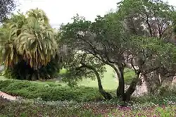 Presidio Park