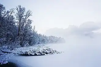 Der See im Winter