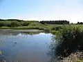 Weiher nahe Priddy