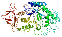 Pankreas-Amylase
