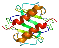 CXCL1