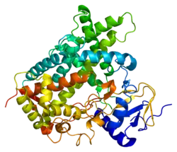Cytochrom P450 2C19