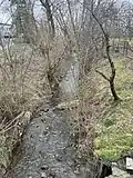 Die (östliche) Mleczka in Pruchnik