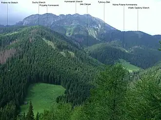 Rechts im Bild
