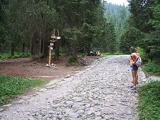 Wegkreuzung auf der Psia Trawka