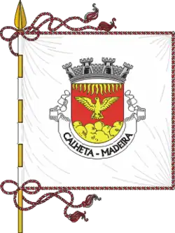 Flagge des Concelhos Madeira