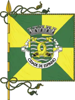 Flagge des Concelhos Espinho