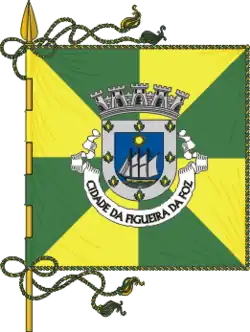 Flagge des Concelhos Figueira da Foz