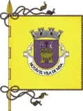 Flagge von Nisa