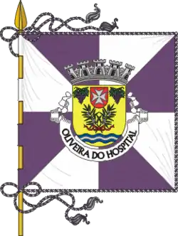 Flagge des Concelhos Oliveira do Hospital