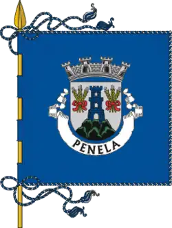 Flagge von Penela