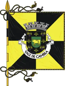 Flagge von Vale de Cambra
