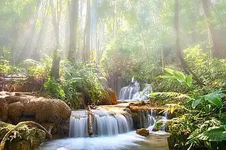 Pu-Kaeng-Wasserfall