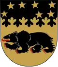 Pudasjärvi mit Großem Wagen