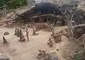 Leben der Guanchen