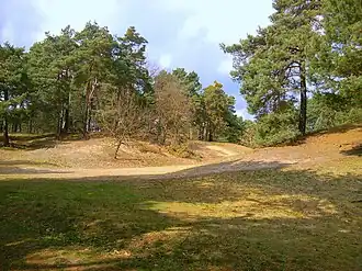 Auf den Püttbergen