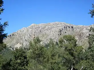 Puig Tomir, vom Weg zwischen Coll Pelat und Coll des Pedregaret aus gesehen.