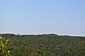 Puig de les Cadiretes vom Montagut aus gesehen. Der Puig de les Cadiretes ist nur als kleiner Zacken zu erkennen
