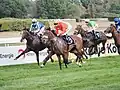 Bristano und Aspetar gehen an Royal Youmzain vorbei