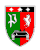 Internes Verbandsabzeichen