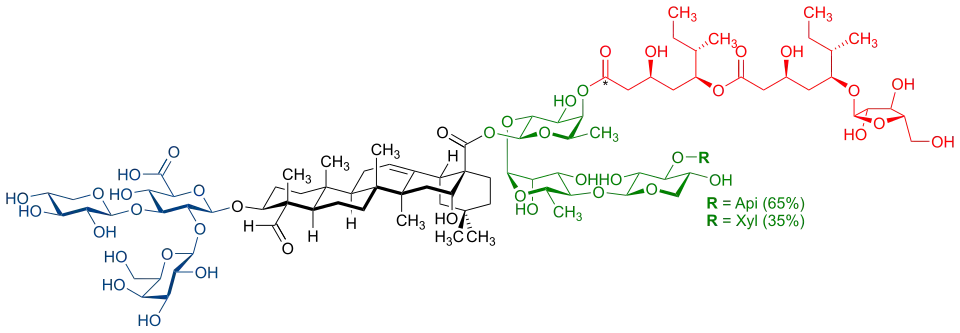 Struktur des Saponin-Naturstoffs QS-21 aus dem chilenischen Seifenrindenbaum Quillaja saponaria