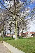 Anlässlich der Partnerschaft mit Boke 1994 gepflanzte Linde