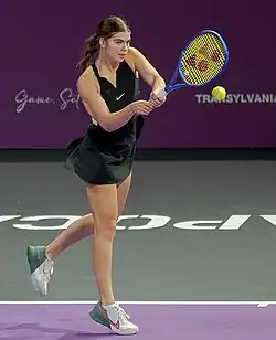 Ilinca Amariei