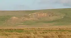 Broad Law