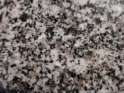 Im Gegensatz dazu: Xenomorpher Quarz (grau) in einem Gestein neben Feldspat (weiß) und mafischen Mineralen (schwarz)