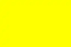 Die Signalflagge „Q“ nach dem Flaggenalphabet wird in den meisten Ländern dieser Welt als Zollstander benutzt.