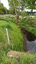 Die Tarpenbek-Ost kurz nach ihrer Quelle