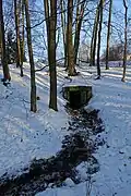 Zufluss vom Oberen Quellhof am Hang des C’est-bon-Tals