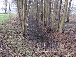 Ursprung
