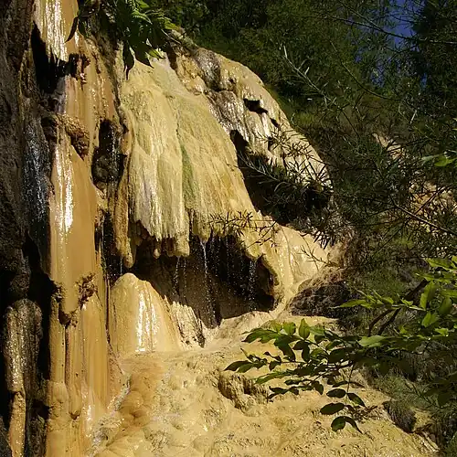 Quelltuff in Lingenau im Bregenzerwald, Vorarlberg. Der weitaus größte Anteil des gesamten aktiven Quelltuffvorkommens wurde von Cyanobakterien (Gattung Rivularia) ausgefällt. Das Quellwasser mündet in die Bregenzer Ache