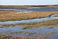 Naturreservat Platier d’Oye